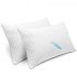 Best Back Pain Pillows