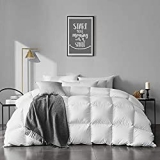 Best Twin size organic comforter