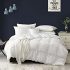 Best Twin size organic comforter