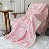 Best Twin Size Minky Blankets