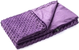 Best Full Size Minky Blankets