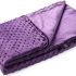 Best Queen Size Minky Blankets