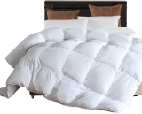 Twin Size Standard Duvets