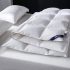 Best Queen Cotton Duvet