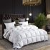 Best Cal King Size Standard Duvet