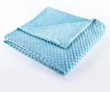 Best Queen Size Minky Blankets