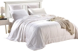 Best Twin Size Silk Comforters